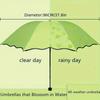 Dual Use Sun Umbrella UV Protection Folding Rain Umbrella Compact Women's Parasol  Rain