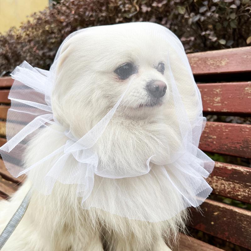 Bequemer Anti-Schluck-Gesichtsschleier für kleine bis mittelgroße Hunde und Katzen - Atmungsaktive Maulschlinge zur Verhinderung von Futteraufnahme und Lecken.