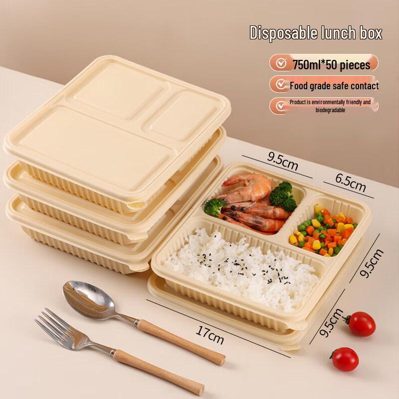 ZISIZ Biodegradable Disposable Meal Box