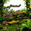 Natural Lookings Rainforest Climbing Vine Habitats Decors For Lizards Geckos And Spiders Terrariums Landscape Branch