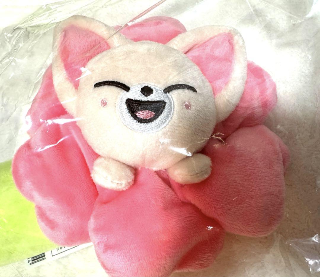 

[Б/У] Пенал-поп-ап Stray Kids, Foxxy, Ien