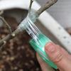 100/300M Stretchable Green Grafting Tape for Plant Support Nursery Use Household Garden Grafting Transparent Tape for Fruit Tree