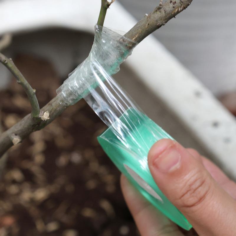100/300M Stretchable Green Grafting Tape for Plant Support Nursery Use Household Garden Grafting Transparent Tape for Fruit Tree