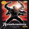 Frankenstein The Graphic Novel by Mary Wollstonecraft Shelley Paperback Book 9781906332150
