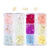 3D Flower Nail Charms, 6 Grids Acrylic Flower DIY Jewelry Craft Decorations