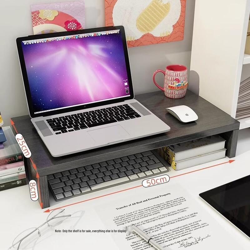 Ayub Widened Single-Layer Monitor & Laptop Riser Stand