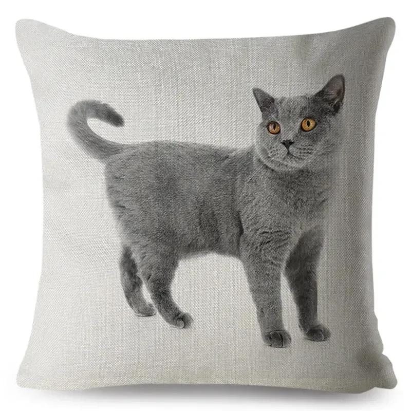 

Милый принт британской короткошерстной кошки, наволочка для декоративной подушки 45*45см, квадратные наволочки, льняная наволочка, автомобильный домашний декор, наволочки 16x16Inch