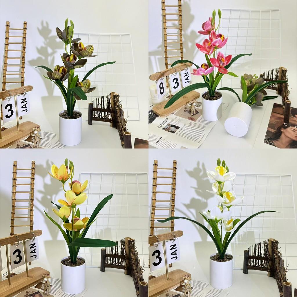 Cymbidium Rolfe Faberi Flusssteine Bonsai Simulierte Blume Topf Für Deko Hotel