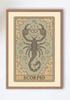 Poster 21X30 Astrology Zodiac Sign Zodiacara Scorpio A4
