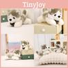 Plush Siberian Charming Husky Dog Stuffed Animal Toy Perfect For Gifts Kids