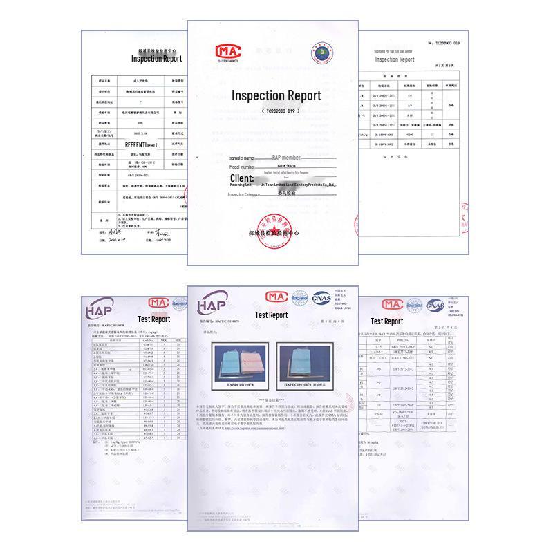 Economy Absorbent Pet Training Pads for Dogs and Cats - Disposable Urine Pads & Pet Diapers