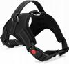 Strong, Pressure-Free Dog Harness, Adjustable, Size