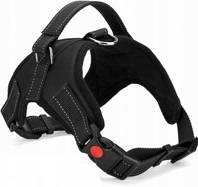 Îmbrăcăminte și încălțăminte – Accesorii pentru câini