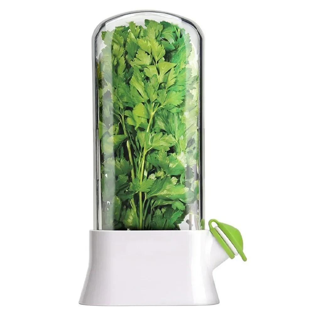 Herb Saver Storage Container Vegetable Preserving Bottle Fresh Herb Keeper for Kitchen Storing Cilantro Mint Parsley Asparagus