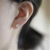 925 Sterling Silver French Simple Sparkling Crystal Stud Earrings Women Light Luxury Temperament Wedding Party Jewelry Gift