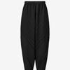 Pleats Me Pleated Baggy Pants Eppts326004