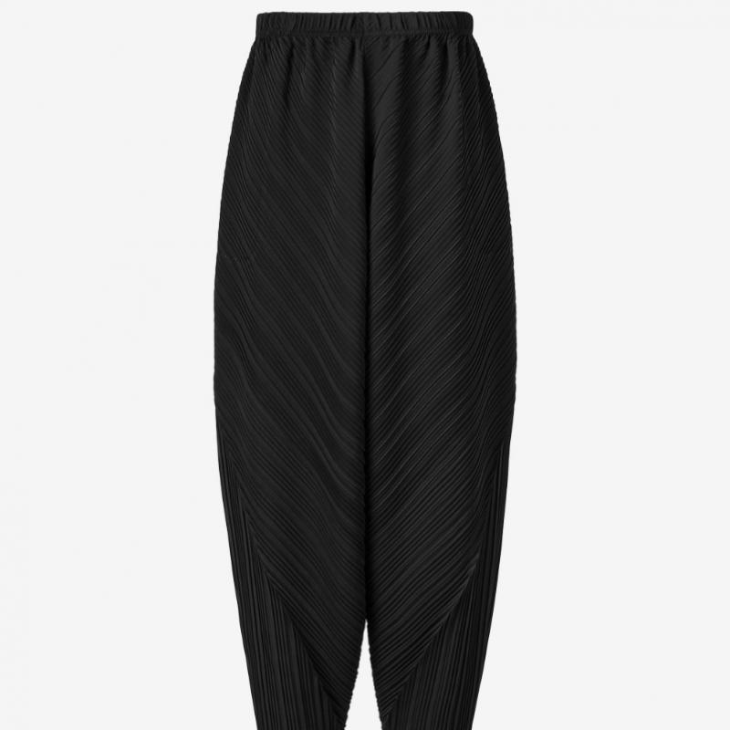 Pleats Me Pleated Baggy Pants Eppts326004