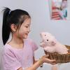 Cute Cute Lucky Piggy Doll Plush Toy Lying Pig Doll Children Sleeping Soothing Doll