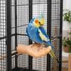 Verschleißfester handgeformter Vogelständer Realistischer Papageien-Standstock Haustier Interaktiv