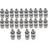 24Pcs Hydraulic Valve Lifter Kit Compatible with Mercedes-Benz/Chrysler/Dodge/Ram/Jeep 1.8L-5.5L 2005-2019 24v DHOC Replace