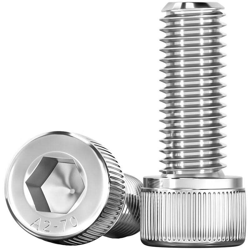 Yonggu M6x65mm Hex Socket Stainless Steel Screw