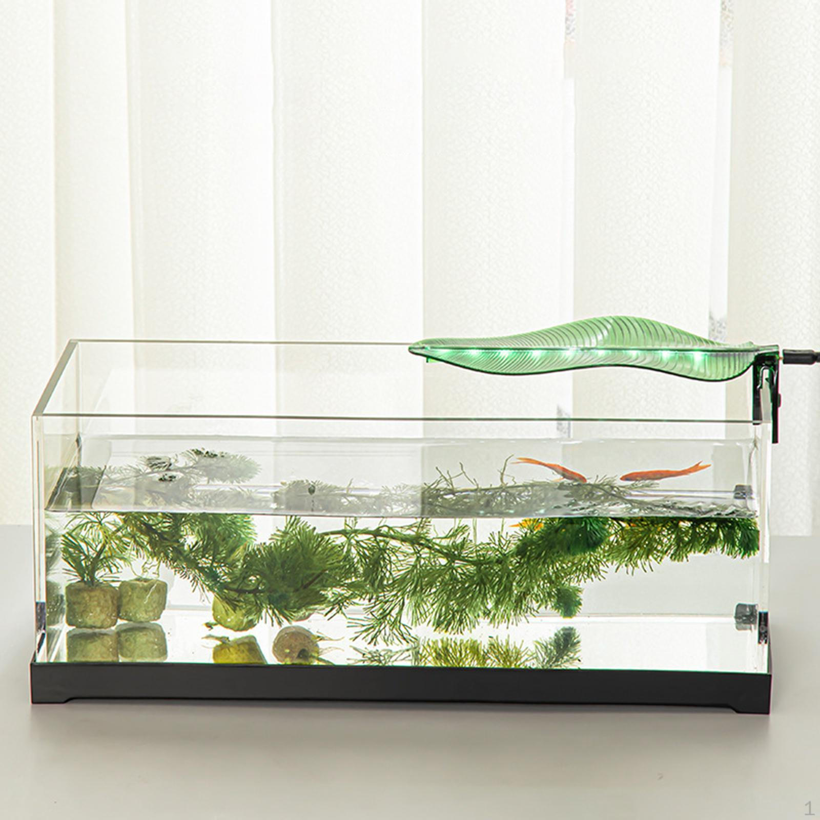

for Freshwater Aquariums Under 10mm fish tank