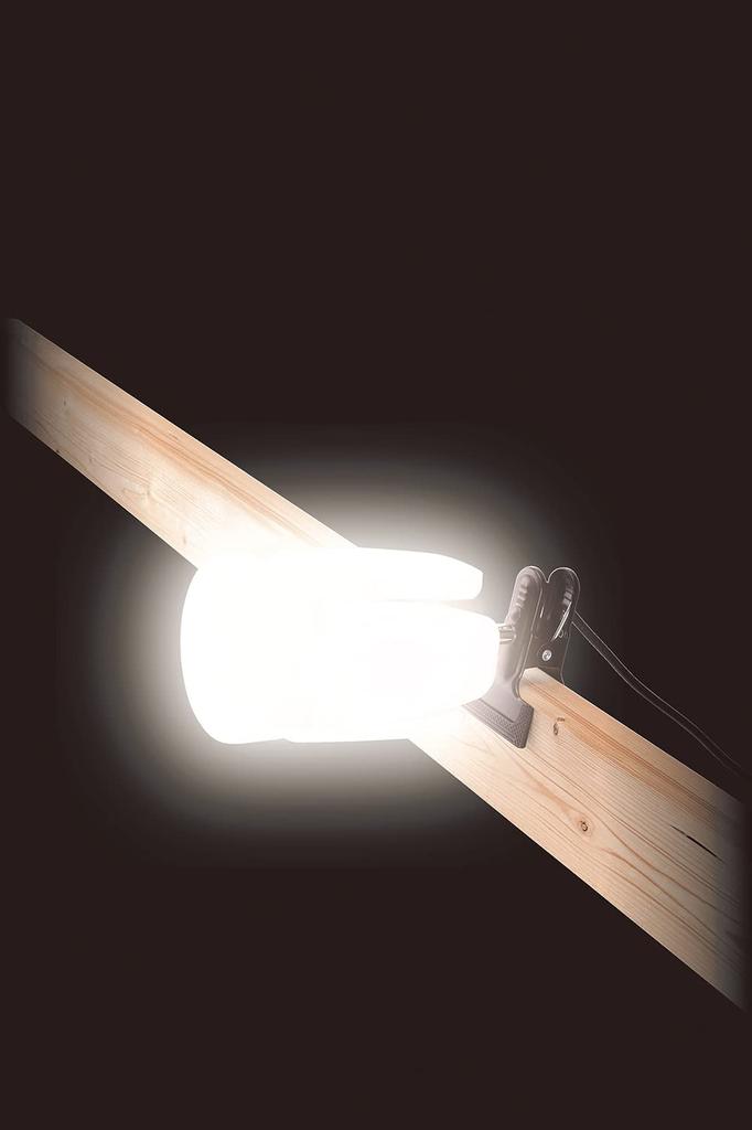 SK11 LED Leaf Light, Clip-on, Indoor Use, 50W, 5500lm, Daylight White (SLL-50W-AC)