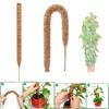 Premium Quality Coconut Shell Plant Climbing Pole 60-120cm Length