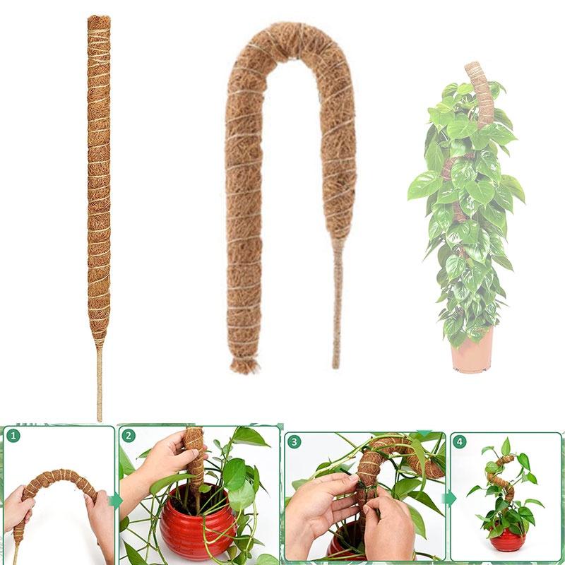 Premium Quality Coconut Shell Plant Climbing Pole 60-120cm Length
