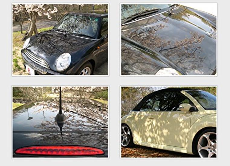 Ripica Glass THP Coated Eco Pouch 200ml G004