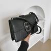 Fashionable Street Style Casual Small Shoulder Bag For Women In Multiple Colors