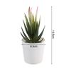 Desktop Succulent Set Simulation Plant Decor Home Office Decor