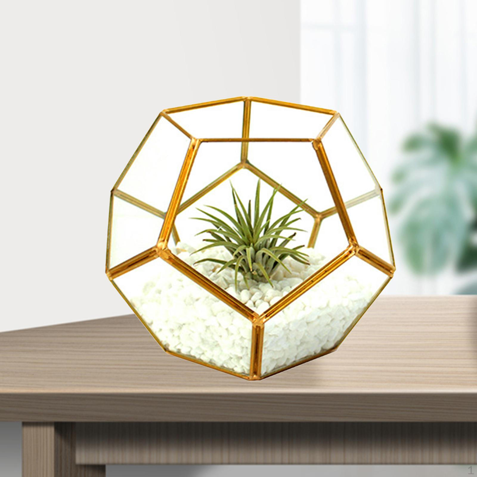 

, Geometric Terrarium, for Outdoor Indoor Garen Tabletop Decor Cupreous
