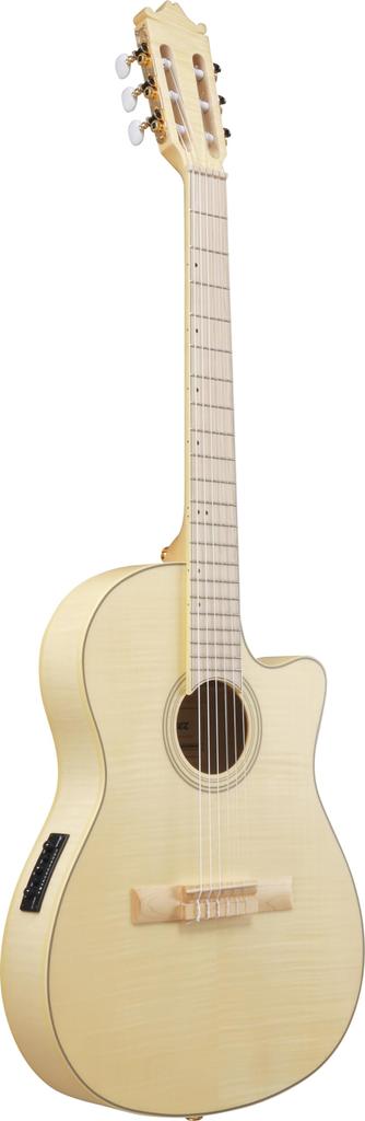 Ibanez Ibanez nylon strings / GA39TCE-NTF (Natural Flat) [elegat]
