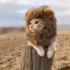 Costume Moda Parrucca Criniera di Leone Accessori Abbigliamento Vestiti per Animali Cosplay Felpa Calda per Feste in Costume Cani Halloween