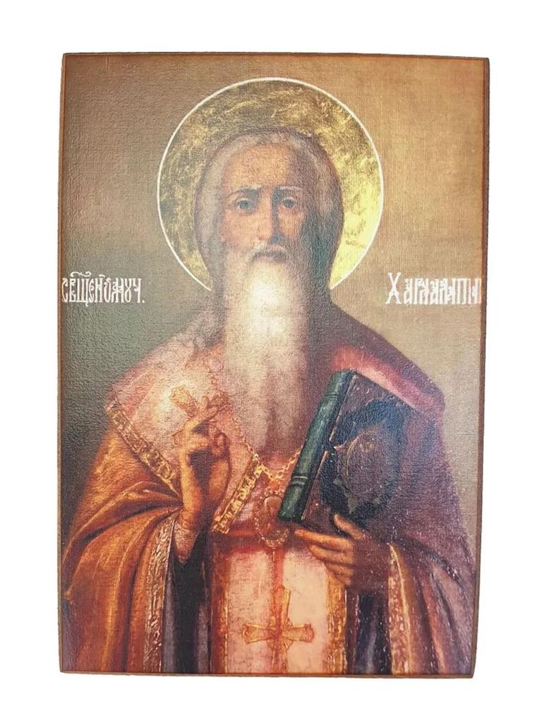 Ikone Prinz Wladimir Dekorative Platte 20x30cm