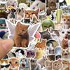 50PCS Funny Cat Sticker Creative Diy Laptop Case Water Bottle Sticker
