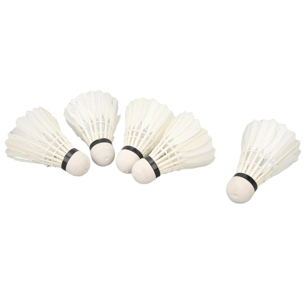 5pcs LED Badminton Shuttlecocks Dark Night Glow Birdies Lighting Switch Control Elastic Goose Feather Lighting Shuttlecocks