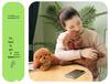 Cute Teddy Dog Plush: Soothing Small Dog Doll for Sleeping & Hugging