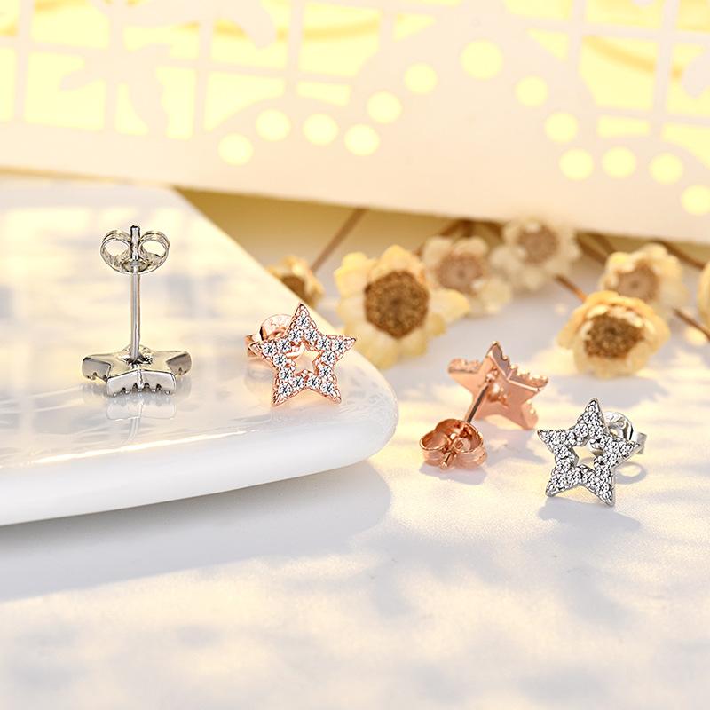 Exquisite Micro-set Zircon Five-pointed Star Earrings for Women New Light Luxury Niche Super Flash Earrings