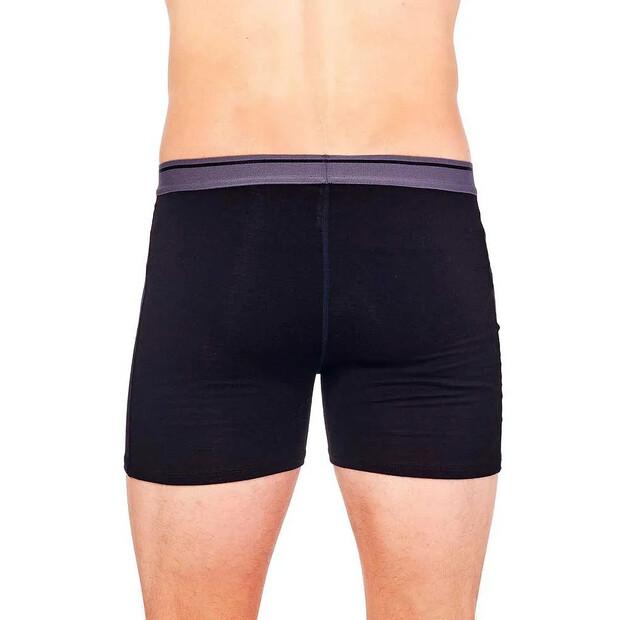 Icebreaker трусы-боксёры Anatomica Fly