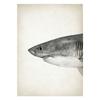Marine Animals Canvas Paintings Great White Shark Posters and Prints Killer Whale Wall Art Picture for Home Decoration No Frame