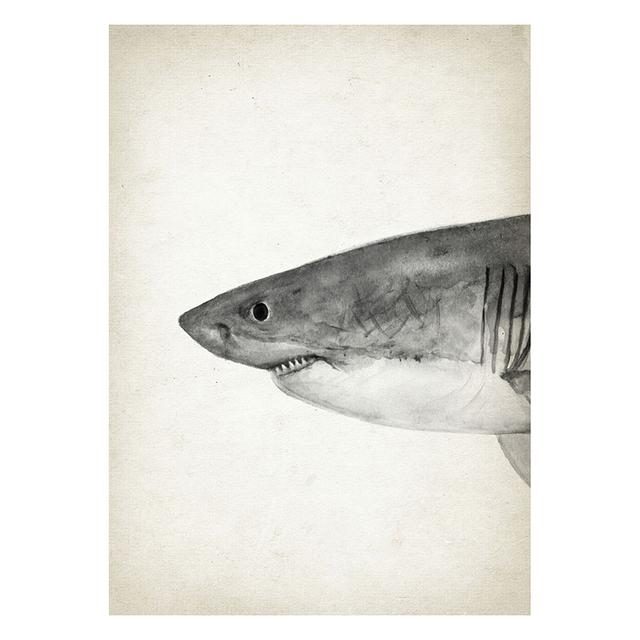 Marine Animals Canvas Paintings Great White Shark Posters and Prints Killer Whale Wall Art Picture for Home Decoration No Frame