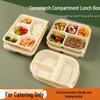 Corn Starch Disposable Meal Prep Containers