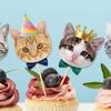 8 Stück Katze Cupcake Dekoration Niedliche Katze Themen Geburtstagsparty Kuchenaufsatz Papier Dessertdekoration