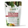Pulbere din plante pentru a stimula producția de colagen (250 g), Pudră de constructor de colagen, organice din Himalaya