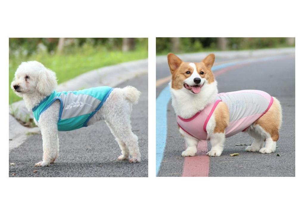 Chong Ta Reflective Cooling Dog Vest for Corgis & French Bulldogs - Summer Thin Style, All Sizes Available