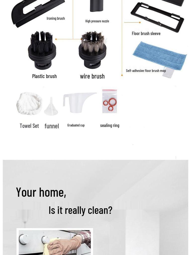 High-Temperature Steam Cleaner for Home, Auto Use, Formaldehyde Removal, & European/American Standards