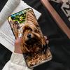 Yorkshire Terrier Dog For Honor Magic 5 6 7 8 Pro Case For Honor 200 400 70 90 Lite X8c X8b X9a X9b X9c X9d Win RT