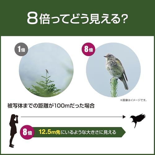 OM SYSTEM/Olympus Binoculars, Travel, Live Performances, Theater, Sports, Easy Operation, Waterproof, 8x21RC II WP BLU